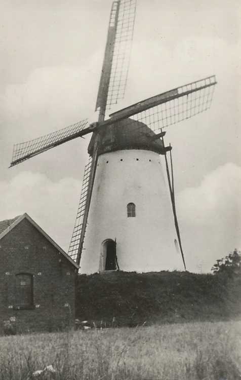 De Volharding, , De molen in 1935, nog met houten roeden.  Fotograaf onbekend, ingezonden door Martin E. van Doornik. | Database Nederlandse molens